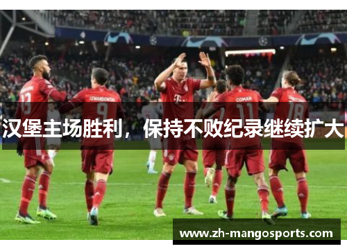 汉堡主场胜利，保持不败纪录继续扩大
