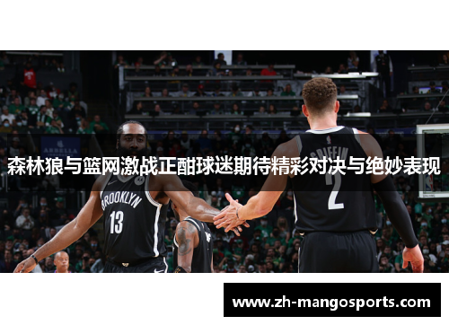 森林狼与篮网激战正酣球迷期待精彩对决与绝妙表现