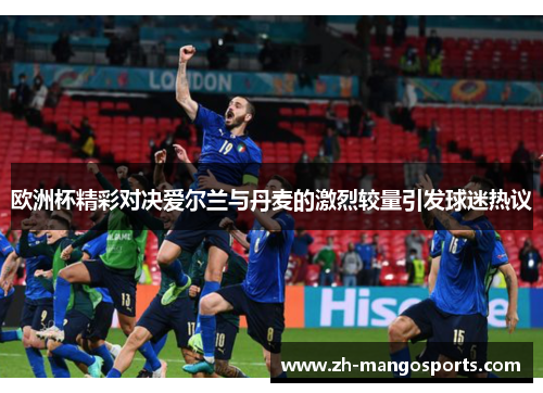 欧洲杯精彩对决爱尔兰与丹麦的激烈较量引发球迷热议